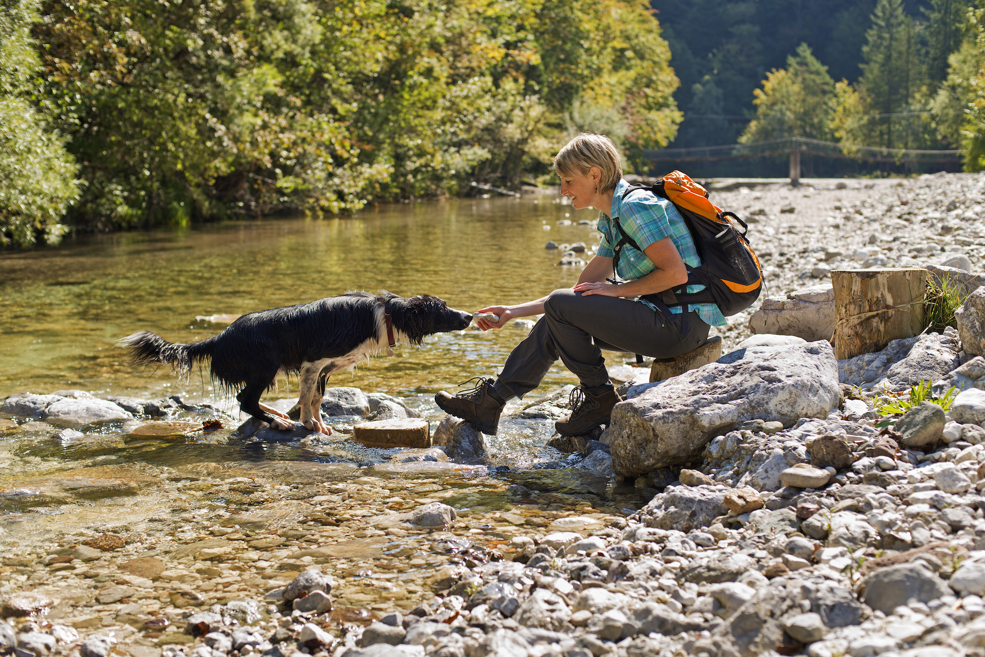 Young woman with dog on a sunny day hiking by river